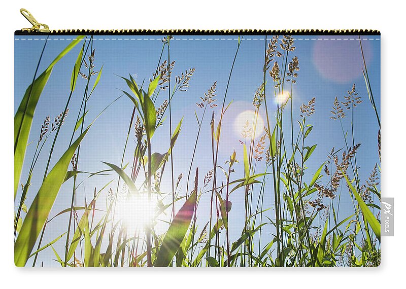 Grass Zip Pouch featuring the photograph Sunlight Through Grass by Darryl Leniuk