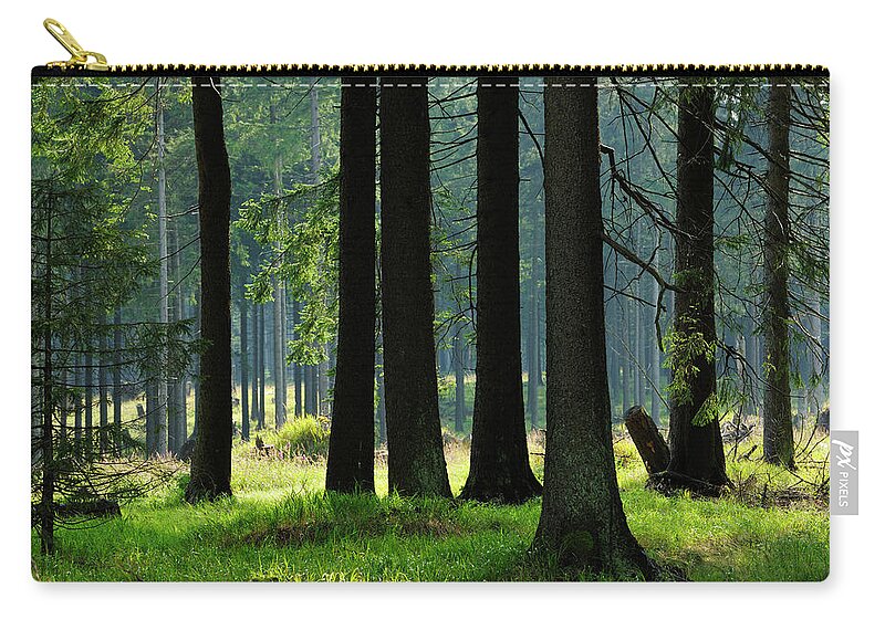 Shadow Zip Pouch featuring the photograph Sunlit Spruce Tree Forest by Avtg