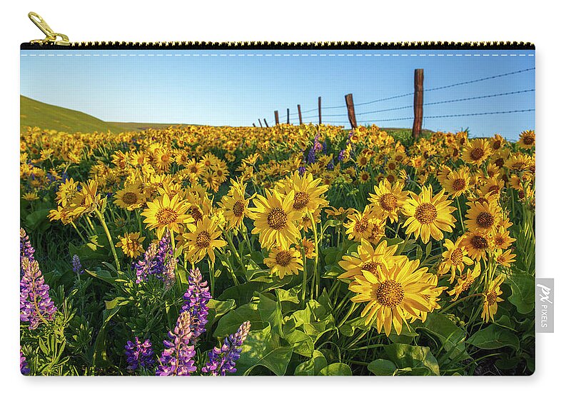 Sunny Balsamroot Zip Pouch featuring the photograph Sunny balsamroot by Lynn Hopwood