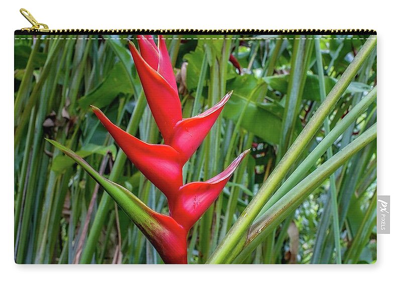 Kauai Zip Pouch featuring the photograph Sunrise Heliconia I I I by Doug Davidson