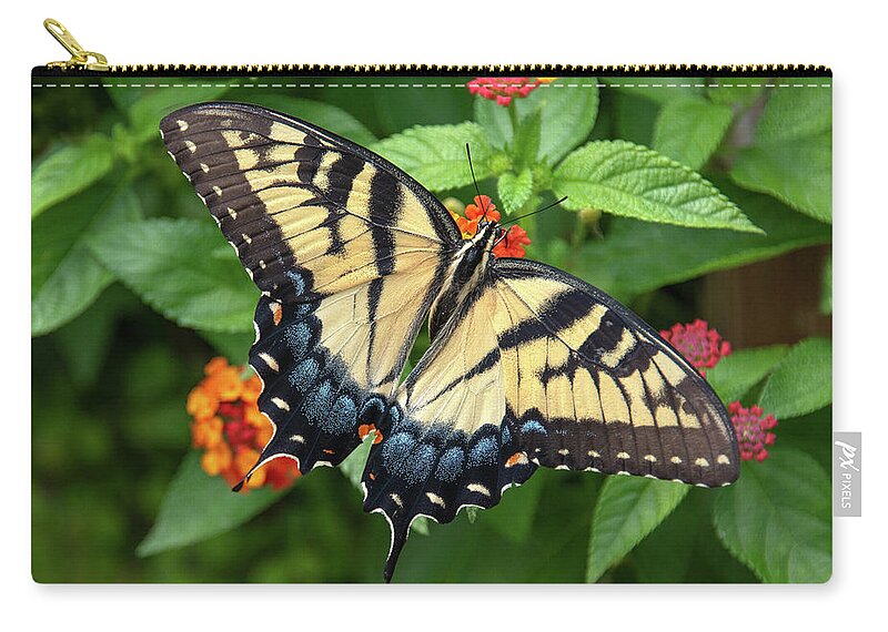 Butterfly Carry-all Pouch featuring the photograph Swallowtail #3 by Minnie Gallman
