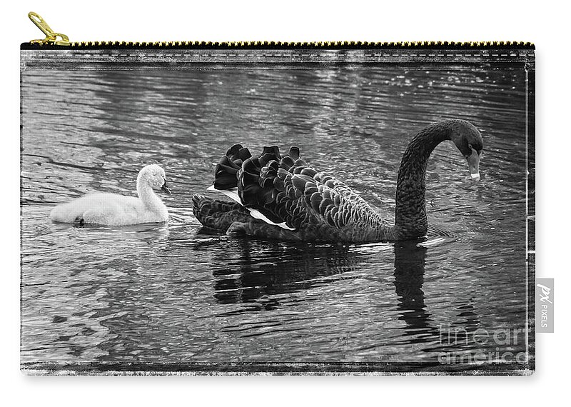 Swan Zip Pouch featuring the photograph Swan and signet by Fran Woods
