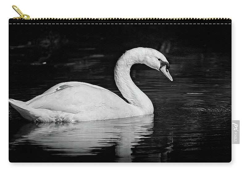  Zip Pouch featuring the photograph Swan by Steve DaPonte