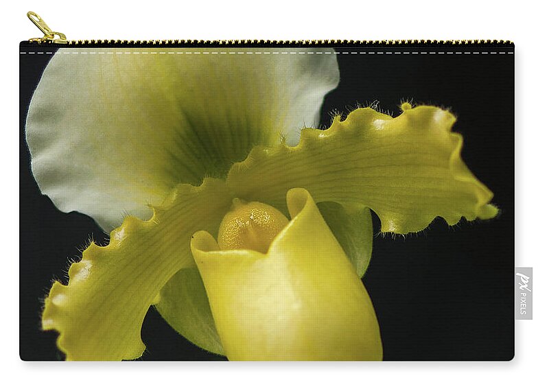 Macro Zip Pouch featuring the photograph Taking A Bow by Ginger Stein