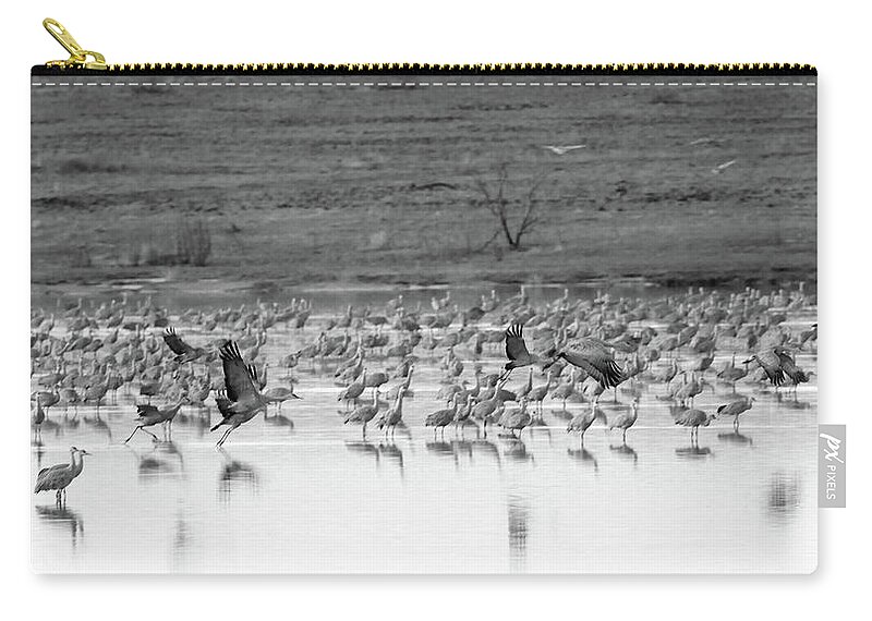 Richard E. Porter Zip Pouch featuring the photograph Taking Off - Muleshoe Wildlife Refuge, Texas by Richard Porter