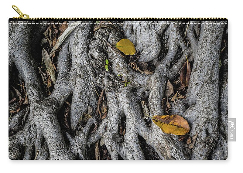 Tangle Zip Pouch featuring the photograph Tangle by Jason Roberts