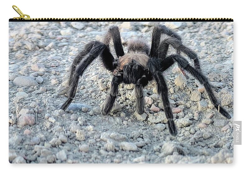Nature Zip Pouch featuring the photograph Tarantula by Misty Morehead