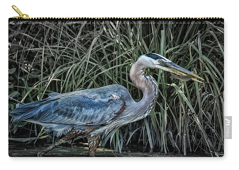 Birds Zip Pouch featuring the photograph Tasty Treat by Ray Silva