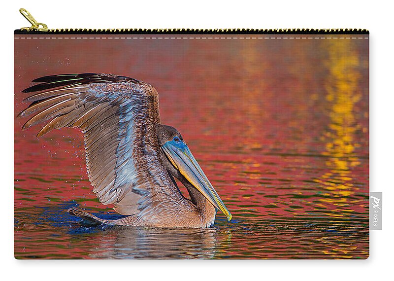 Louisiana Zip Pouch featuring the photograph Tchefuncte Pelican by Tom Gresham