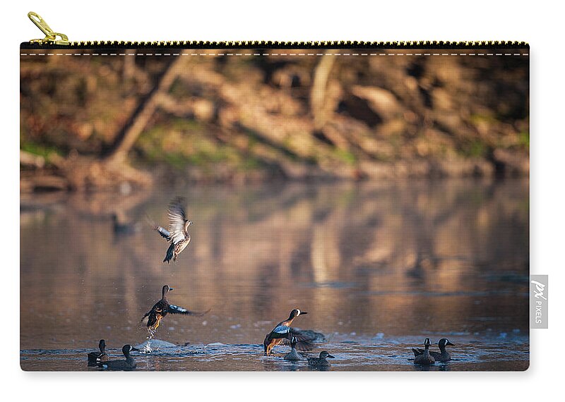Blue-winged Teal Zip Pouch featuring the photograph Teal Rising by Jeff Phillippi