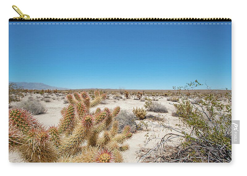 Anza-borrego Desert State Park Zip Pouch featuring the photograph Teddy Bear Cactus by Mark Duehmig