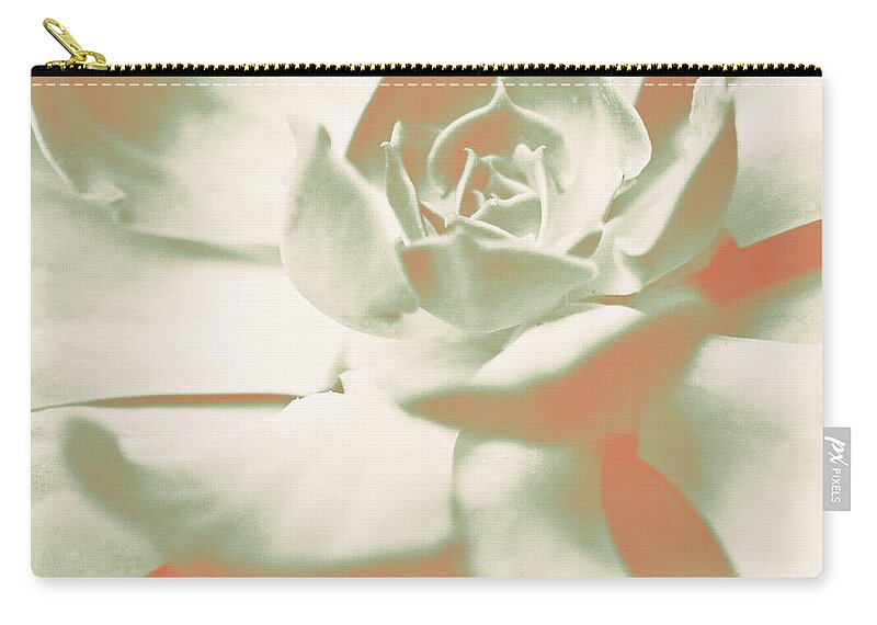 Terracotta Carry-all Pouch featuring the photograph Terracotta Succulent by Susan Bryant