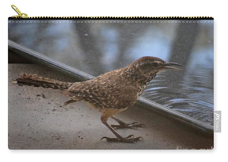 Cactus Wren Zip Pouch featuring the photograph Thanks For The Drink by Janet Marie