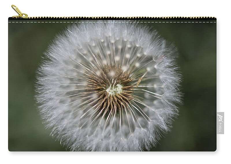 Dandelion Zip Pouch featuring the photograph That's Just Dandy 6 by Dusty Wynne