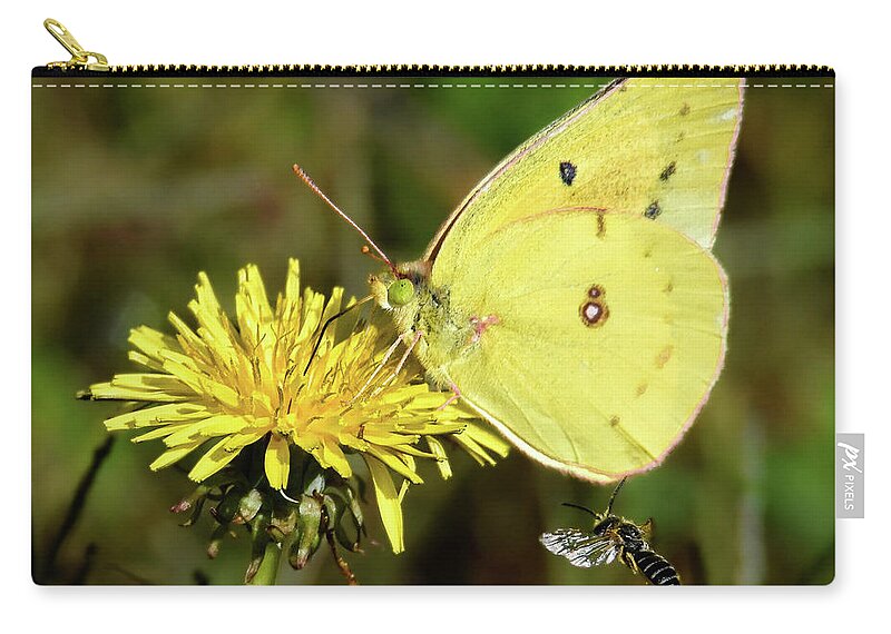 Sulphur Zip Pouch featuring the photograph The Bee and the Butterfly by Amy Porter