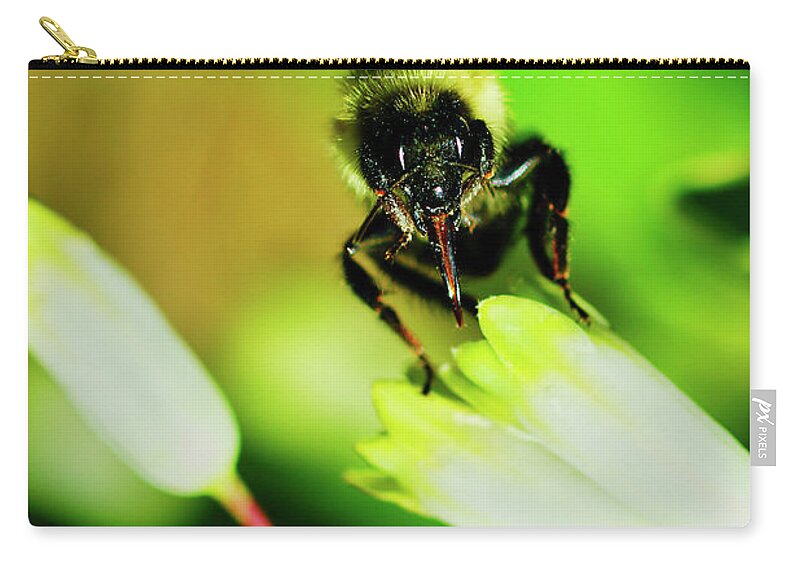 Macro Photography Zip Pouch featuring the photograph The bees knees by Meta Gatschenberger