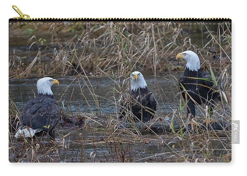 Bald Eagles Zip Pouch featuring the photograph The Eagles by Randy Hall