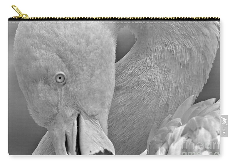 Flamingo Zip Pouch featuring the photograph The Flamingo Pose Black And White by Adam Jewell
