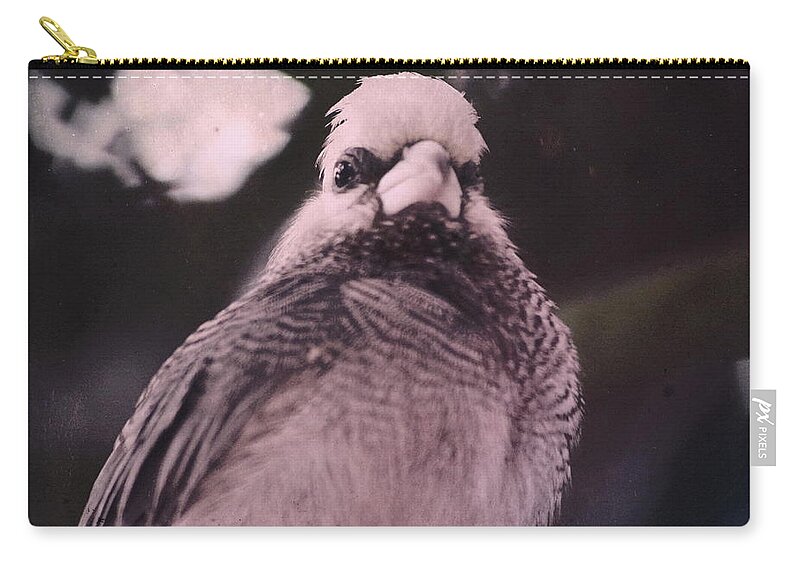Bird Zip Pouch featuring the photograph The Godfeather by Lisa Burbach