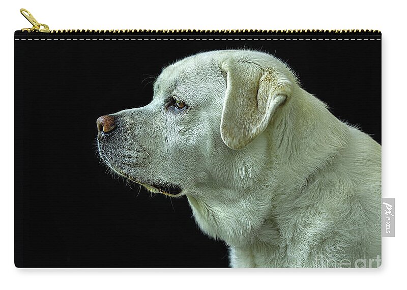 Dog Zip Pouch featuring the photograph The Good Boy-Labrador Retriever Portrait by Diane Diederich