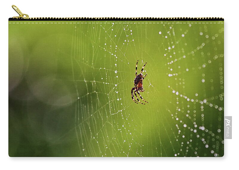 Spider Zip Pouch featuring the photograph The great architect in the morning light by Tatiana Travelways