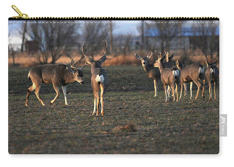 Richard E. Porter Zip Pouch featuring the photograph Squaring Off, color - Bucks, Texas Panhandle by Richard Porter