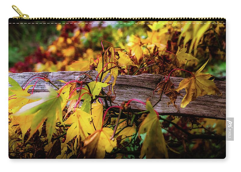 Tree Zip Pouch featuring the photograph The Joy of Acers by Christopher Maxum