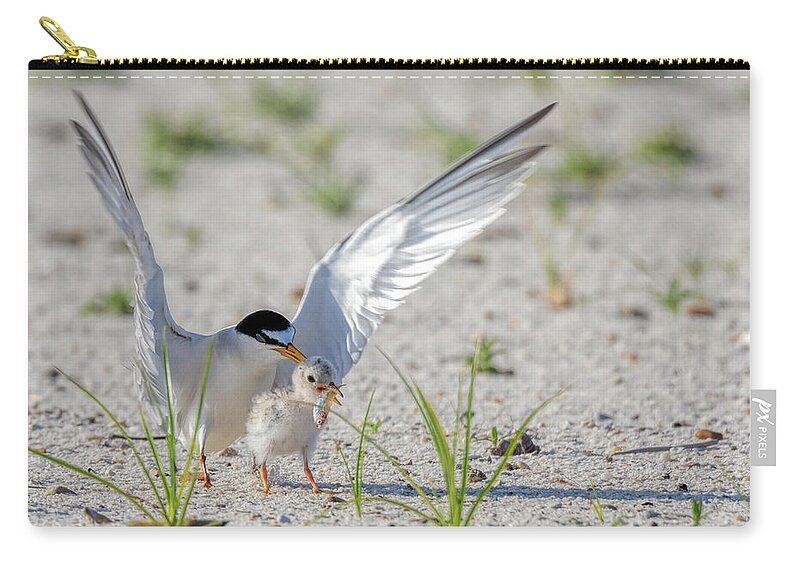 Bird Zip Pouch featuring the photograph The Littlest Thief 2 by Susan Rissi Tregoning