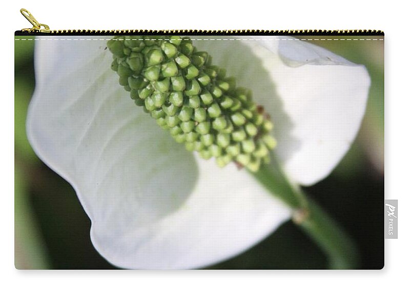 Peace Lily Zip Pouch featuring the photograph The Peace Lily by Philip And Robbie Bracco