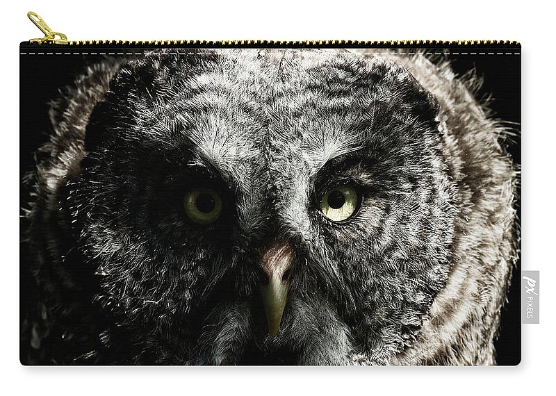Owls Zip Pouch featuring the photograph The phantom of the north by Heather King