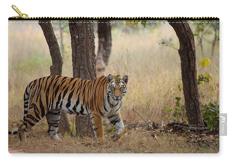 Animal Themes Zip Pouch featuring the photograph The Roaring Lady by © By Prakash Subbanna