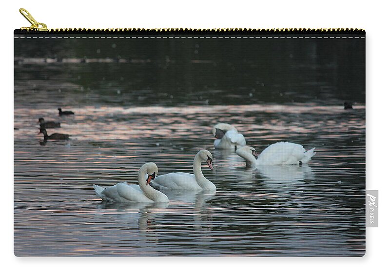 Park Zip Pouch featuring the photograph The Serpentine's Swans and Ducks by Laura Smith