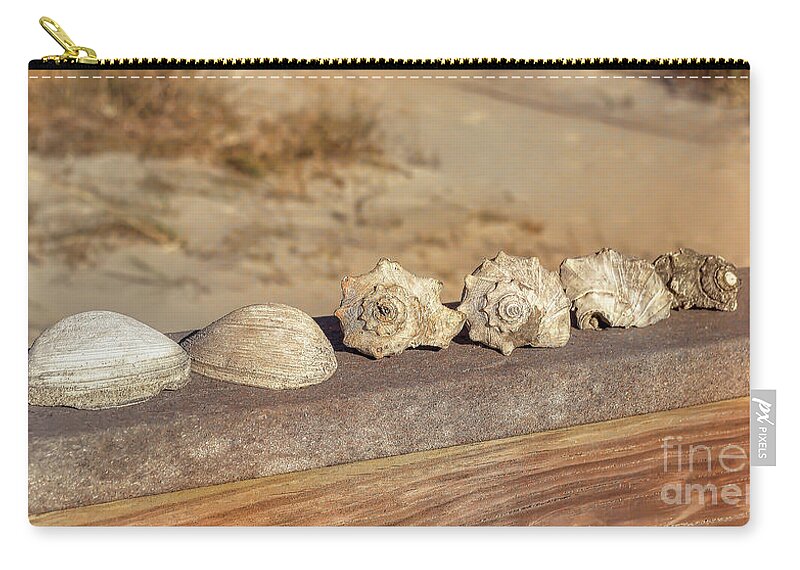 Beach Carry-all Pouch featuring the photograph The Shell Collection by Kathy Baccari