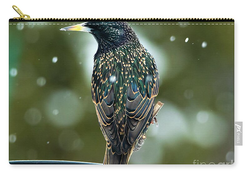 Starling Zip Pouch featuring the photograph The Starling Bird Portrait by Sandra J's