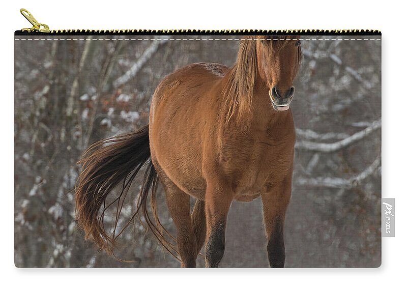 Andalusian Zip Pouch featuring the photograph The Watcher by Art Cole