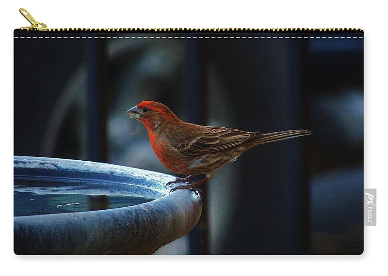House Finch Zip Pouch featuring the photograph Thirsty by Helen Carson