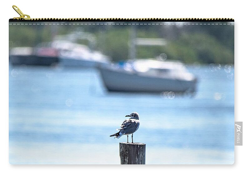 Laughing Gull Zip Pouch featuring the photograph This is Florida by Mary Ann Artz