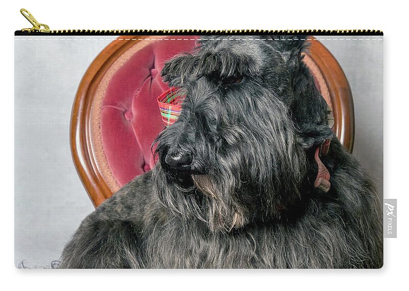Nature'spet Zip Pouch featuring the photograph Thornton #2 by Rebecca Cozart