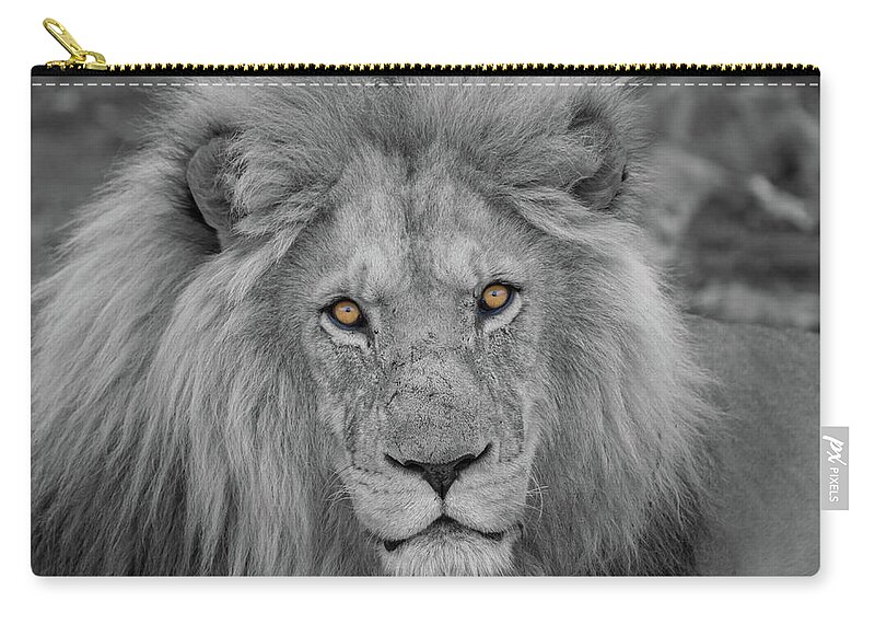 Selective Color Carry-all Pouch featuring the photograph Those Eyes by Randy Robbins