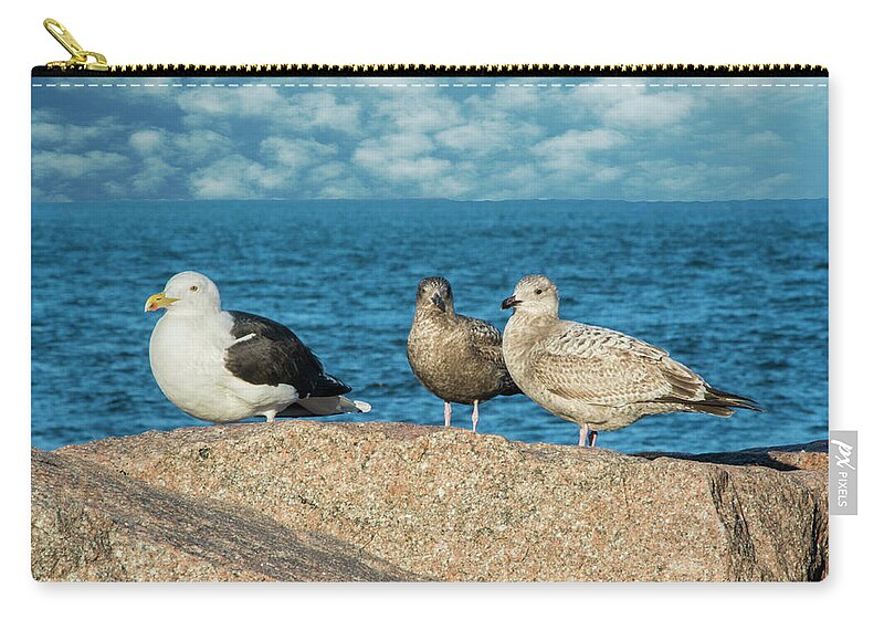 Gulls Carry-all Pouch featuring the photograph Three On The Rocks by Cathy Kovarik