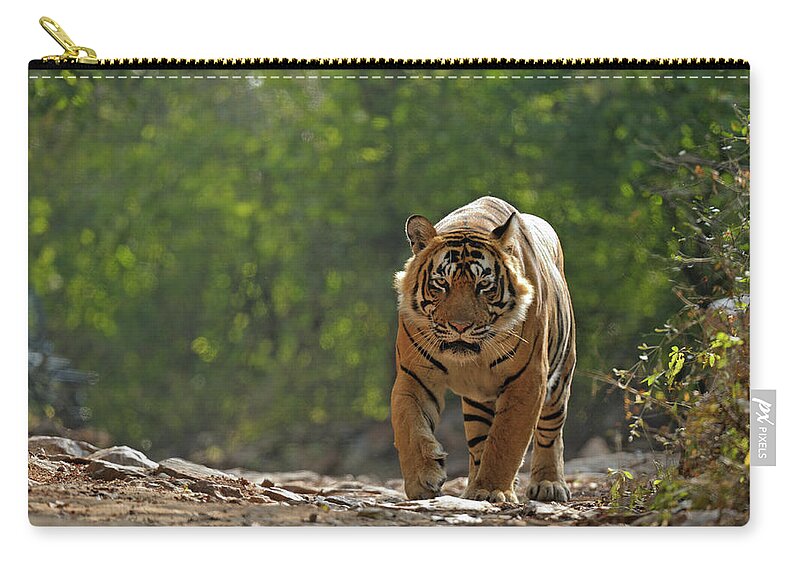 Ranthambore National Park Zip Pouch featuring the photograph Tiger In Forest by Aditya Singh