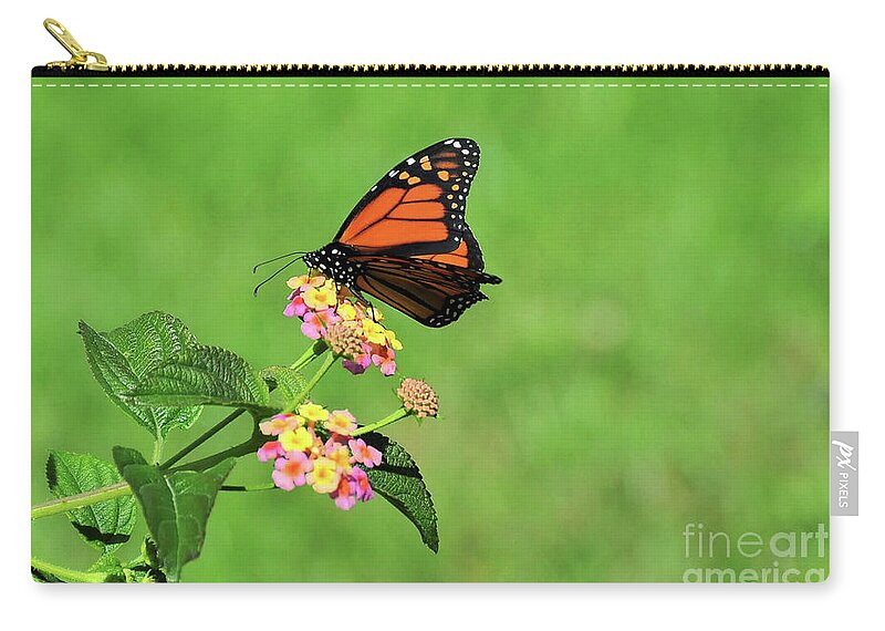 Butterfly Zip Pouch featuring the photograph Tiny Butterfly by Elaine Manley