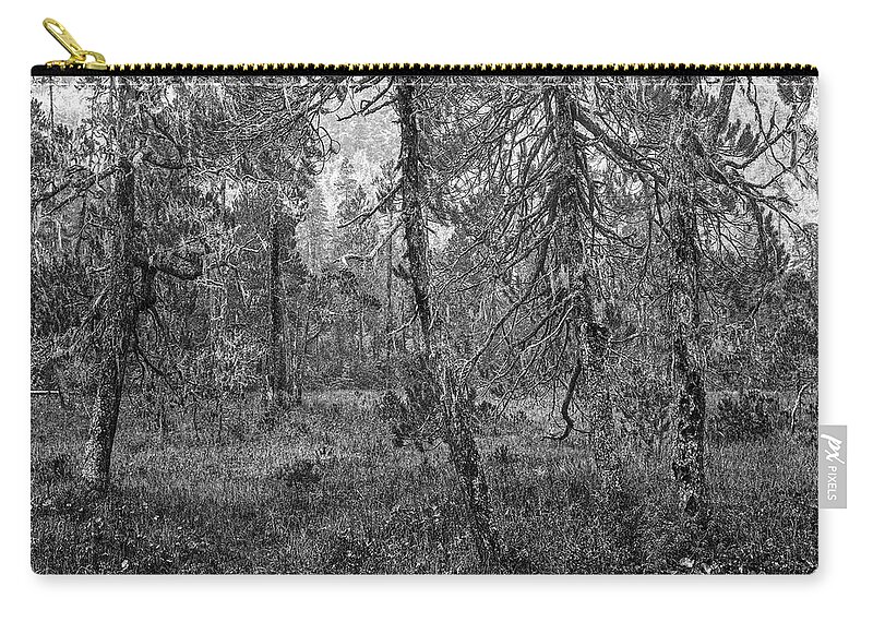 Disk1216 Zip Pouch featuring the photograph Tongass National Forest, Alaska by Tim Fitzharris