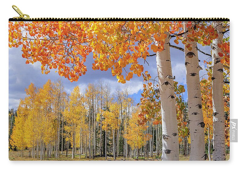 Aspen Zip Pouch featuring the photograph Touch of Fall by Chad Dutson