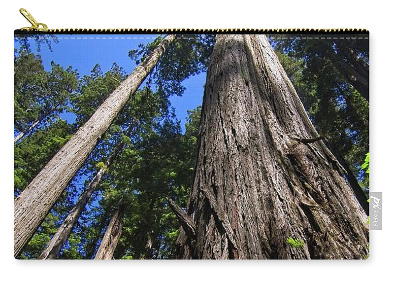Redwood Zip Pouch featuring the photograph Towering Redwoods by Paul Rebmann