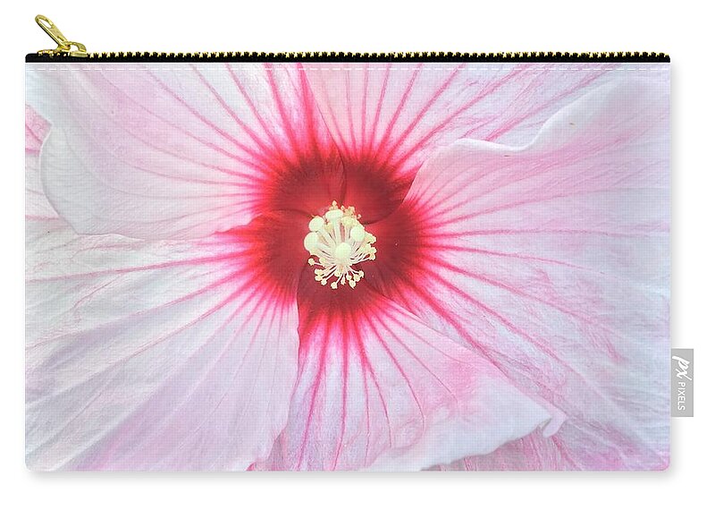 Hibiscus Carry-all Pouch featuring the photograph Transluscent Hibiscus by Anjel B Hartwell