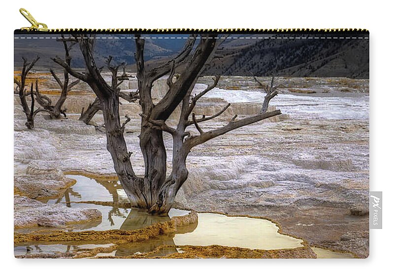 Tranquility Zip Pouch featuring the photograph Tree At Mammoth Hot Springs by © Rozanne Hakala