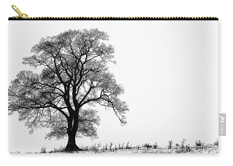 Tranquility Zip Pouch featuring the photograph Tree In Snow by Shelly Chapman