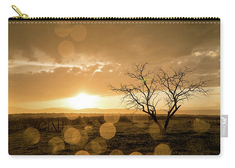Sunset Carry-all Pouch featuring the photograph Tree Sunset by Wesley Aston