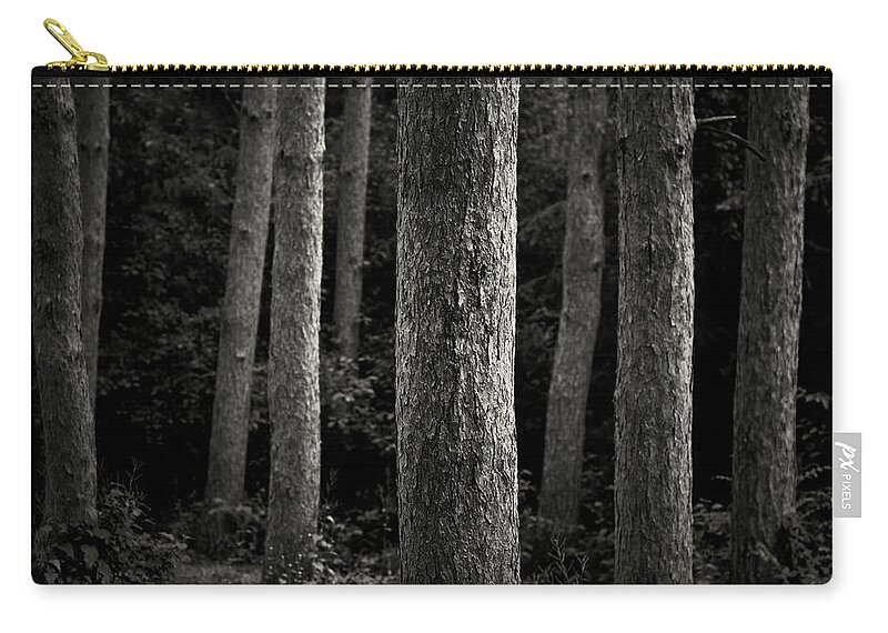 Michigan Zip Pouch featuring the photograph Tree Trunks by Image By Marc Gutierrez